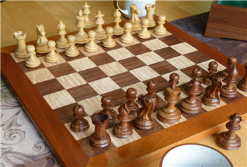 What Can We Learn From Chess?