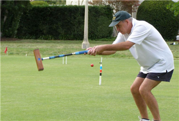 Beginner's Guide to Croquet