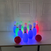 Light up Bowling Ball Toys Set Bowling Pins Toy Game with 10 Pins & 2 Balls Fun Sports Games Indoor Outdoor Boys Girls