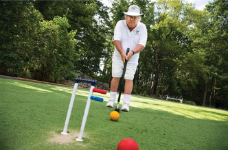  Beginner's Guide to Croquet.