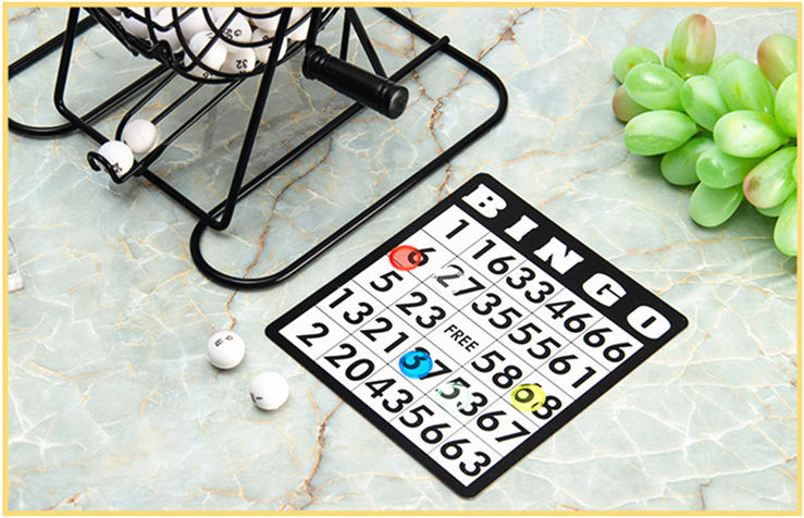 Bingo Set Includes Bingo Cage Master Board Mixed Cards 75 Calling Balls Colorful Chips Ideal Toy for And Kids Boys Girls