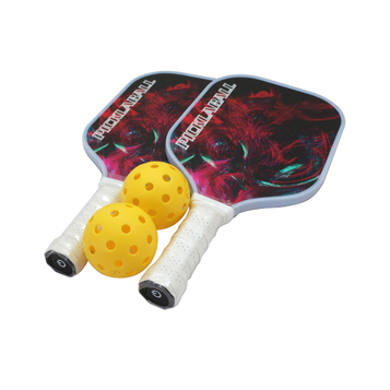 Pickleball Paddles USAPA Approved Fiberglass Surface Pickleball Set with Pickleball Rackets Pickle Ball Paddle Set.