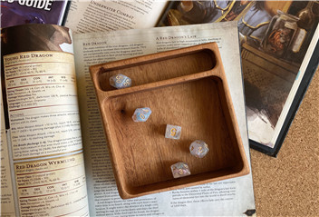 Do You Know What Is Dice Tray?