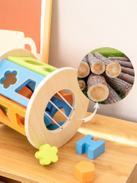 Shape Sorter Toys Wooden Shape Sorter Early Learning Educational Montessori Toys for 1+ Year Old get Smarter